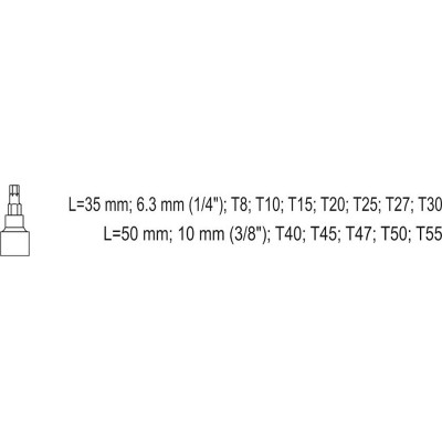 Bity Torx sada 12 ks (CrV 6150)