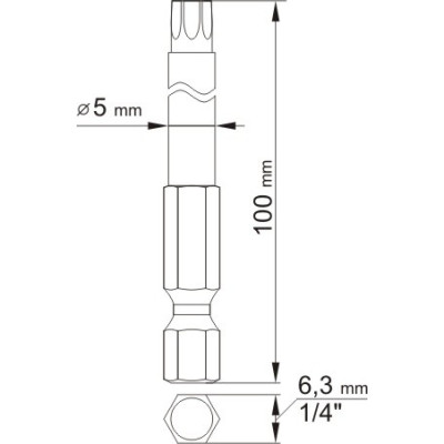 Sada bitů 1/4" 2 ks TORX L100 mm T10, T25