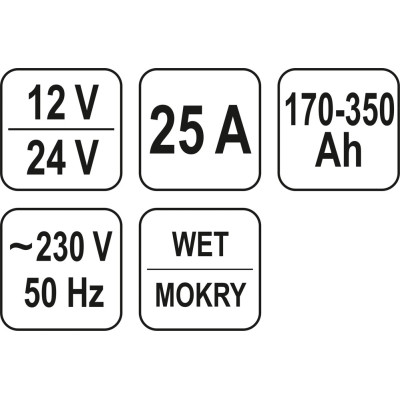 Nabíječka 25A 12/24V