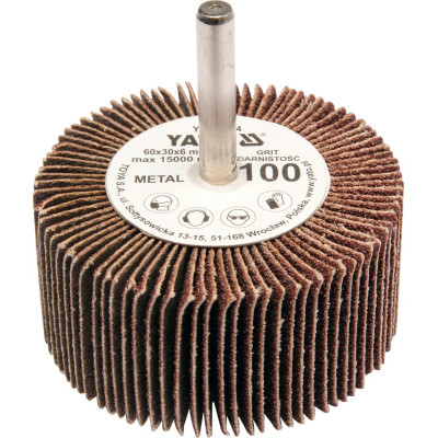 Kotouč lamelový radiální 60x30  P-100 s hřídelí 6 mm