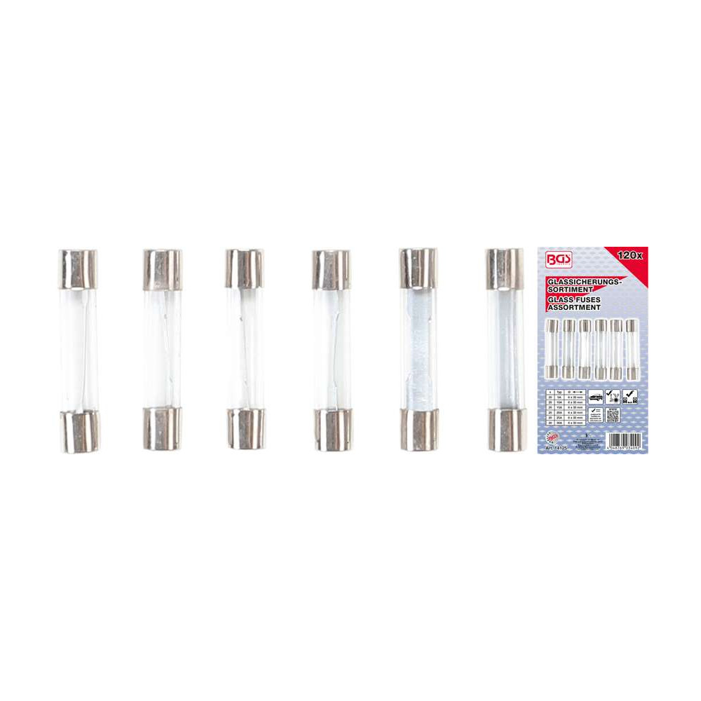 Sklenené poistky 5 ÷ 30 A BGS1014125 (Sada 120 dielov)