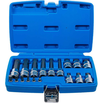 Zástrčné bitové hlavice 1/4" a 1/2" vnútorné tisícihran (pre XZN) M4 ÷ M18 BGS105172 (Sada 18 dielov)