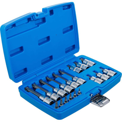 Zástrčné hlavice 1/4" a 1/2" Torx s otvorem T10 ÷ T60 BGS105174 (Sada 18 dílů)