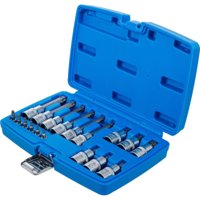 Zástrčné hlavice 1/4" a 1/2" Torx s otvorem T10 ÷ T60 BGS105174 (Sada 18 dílů)